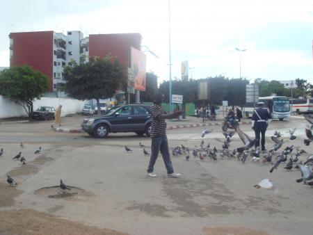 la mélencolie au coeur sénégal ns manque